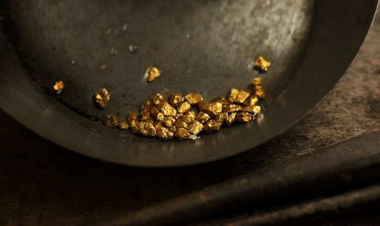 Panning for gold